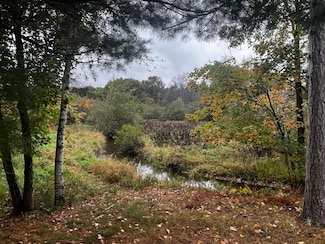 W2212 Pine Rd, Neshkoro, WI 54960