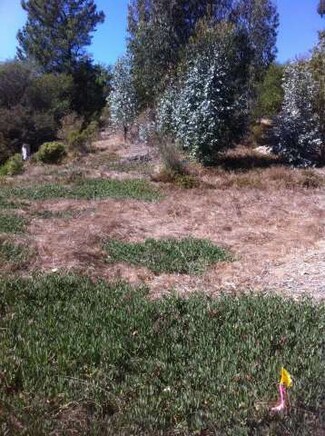 1569 San Andreas Rd, Watsonville, CA 95076