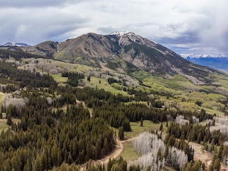 1250 Red Mountain Ranch Upper Loop, Crested Butte, CO 81224