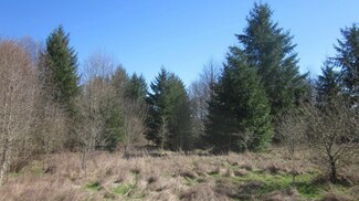 0 Enchantment Ln Unit 749666, Vader, WA 98593