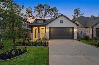 707 Lacebark Elm Trail, Willis, TX 77318
