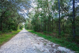 3210 E Michael St, Inverness, FL 34453