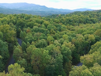 Lot 27 Pinnacle Vista Rd, Pittman Center, TN 37738