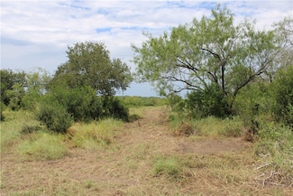 00 Lot 2 Vista Fina Dr, Sandia, TX 78383