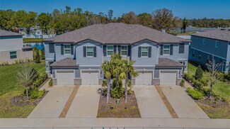 21385 Darter Rd, Land O' Lakes, FL 34638
