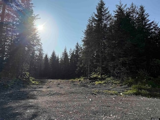 372 Cedar St Unit Lot 3, Block 15, Yakutat, AK 99689