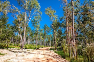 575 Rabbit Pen Dr, Appling, GA 30802