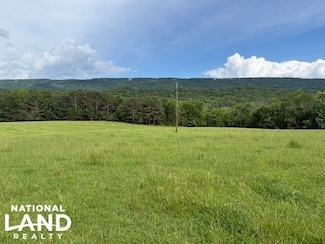 0 County Rd 239 Unit 23707688, Valley Head, AL 35989