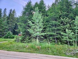 1457 W Mountain Rd, Donnelly, ID 83615