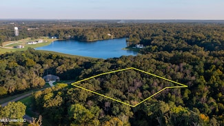 97 Chestnut Hill Rd, Flora, MS 39071