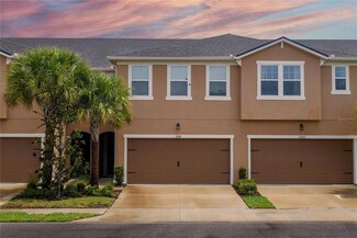 5749 Grand Sonata Ave, Lutz, FL 33558