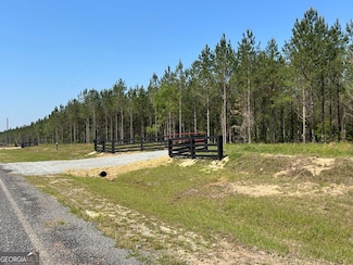 0 Dewey Thomas Rd Unit LOT 13 10311315, Dexter, GA 31019