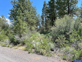 Lot 8 Margi Way, Chiloquin, OR 97624
