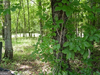 #13 Dan Knob Dr, Hayesville, NC 28904