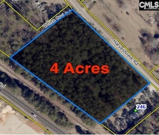 0 Harvest View Rd, Chapin, SC 29036