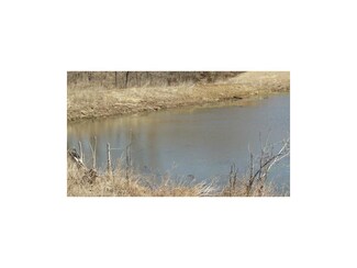0 33 Hwy Unit 1871760, Maysville, MO 64469