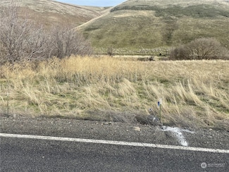 0 Kellogg Hollow Rd Unit NWM2325126, Dayton, WA 99328