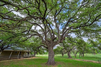 1114 Meadowlark Dr, Fredericksburg, TX 78624