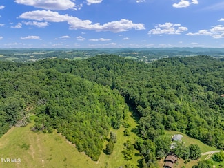 Tbd Hermitage Ln, Mount Carmel, TN 37645