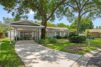 1203 Branda Vista Dr, Brandon, FL 33510