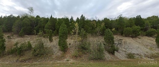 7118 Kellogg Rd, Anderson Township, OH 45226