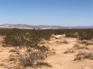 0 Daisy Ln Unit JT25072624, Joshua Tree, CA 92252