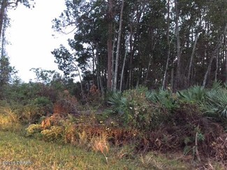 0 Smith Rd, Samsula-Spruce Creek, FL 32168