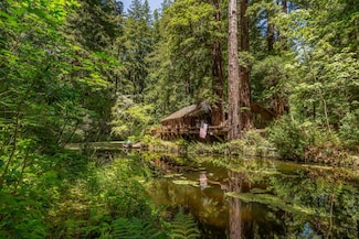 1900 Bear Gulch Rd, San Gregorio, CA 94074