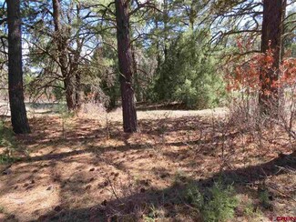 235 Engleman Place, Pagosa Springs, CO 81147