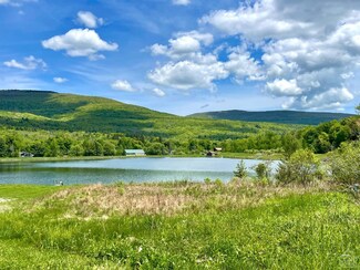 210 Pine Ln, Hunter, NY 12442