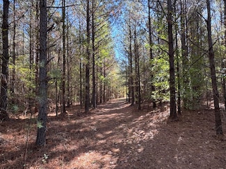 0 Highway 14 Unit 25461792, Notasulga, AL 33680