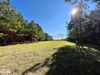 0 County Road 80, Tyler, AL 36785