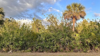 1264 Forrestal St, Port Charlotte, FL 33953