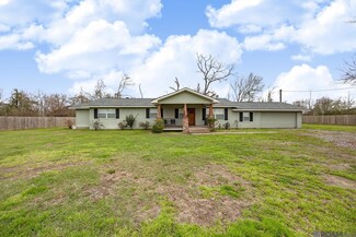 16028 Joe Sevario Rd, Prairieville, LA 70769