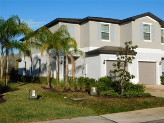 1555 Cassius St, Lutz, FL 33549