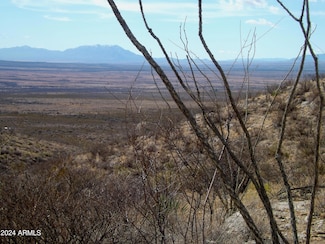 Lot 1 W Red Mountain Rd Unit 1, Bisbee, AZ 85603