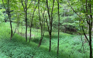 LT 12 the Preserve at Beach Mountain, Brasstown, NC 28902