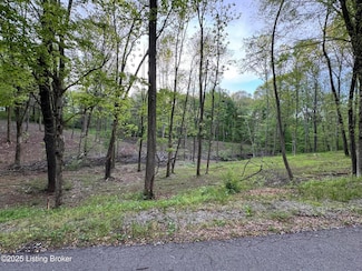 lot 23A Walleye Way, Scottsville, KY 42164