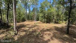 10530 Gregory Ave, Flagler Estates, FL 32145