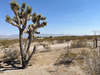xxxx N Diane Rd Unit 234, Dolan Springs, AZ 86441