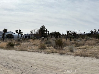 0 Mono Rd Unit PW25109650, Pinon Hills, CA 92372