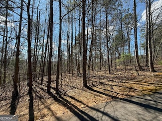 LOT 105 Lancelot Loop, Clayton, GA 30525