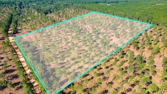 LOT 2 Bluffwood Rd, Wagener, SC 29164