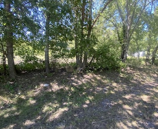 0 Pilot Grove Rd, Whitewright, TX 75491