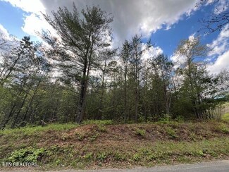 0 Barney Creek Rd Unit 1260924, Tellico Plains, TN 37385