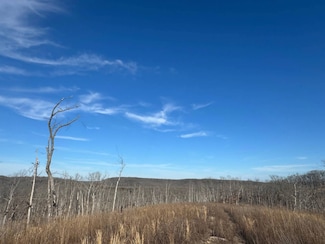 TBD State Highway Y Unit Tract E, Dixon, MO 65459