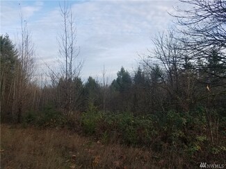 239 Cowlitz Ridge Rd, Toledo, WA 98591