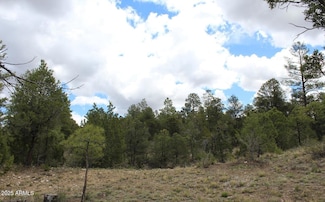 3339 Saw Mill Ridge Loop Unit 97, Heber-Overgaard, AZ 85928