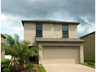 20023 Satin Leaf Ave, Tampa, FL 33647