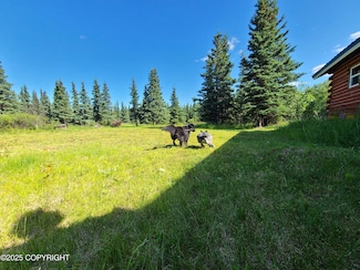 L11 B3 Tri Valley, Healy, AK 99743